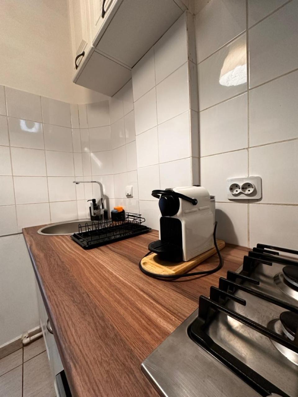 Cismigiu Apartments Bükreş Dış mekan fotoğraf